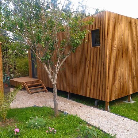 La Cabane Du Figuier A Rambouillet Eksteriør bilde